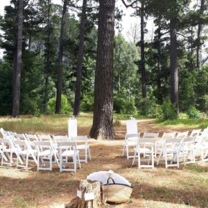 Cape Forest Wedding Ceremony