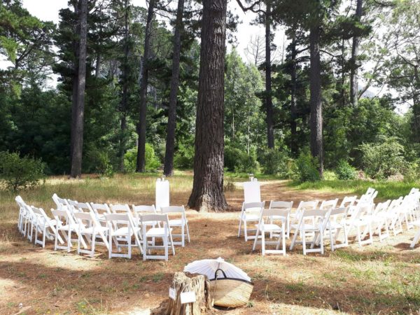 Cape Forest Wedding Ceremony